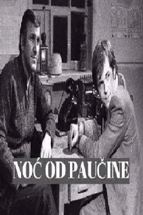 Noć od paučine